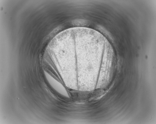 X0000085210065200704091917