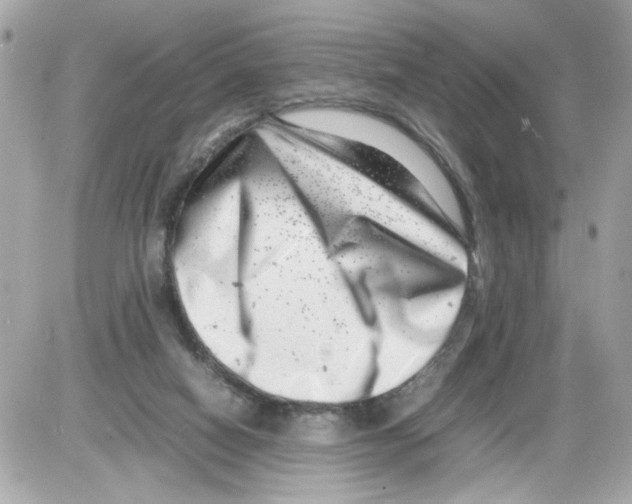 X0000085210066200704091917