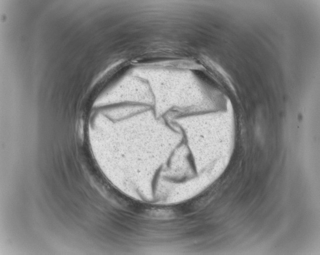 X0000085210067200704091917