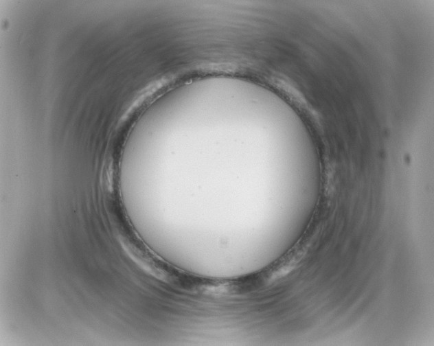 X0000085210068200704091917