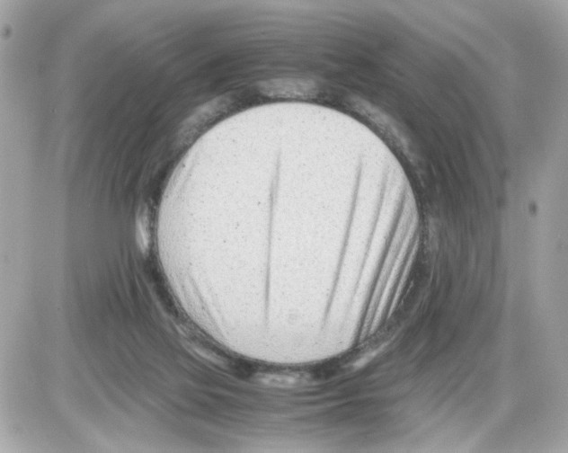 X0000085210069200704091917