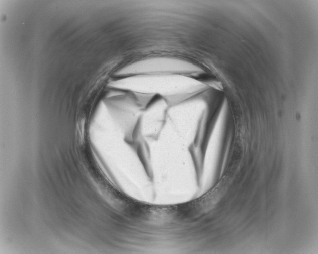 X0000085210070200704091917