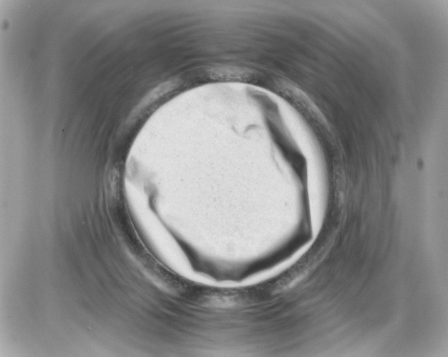 X0000085210071200704091917