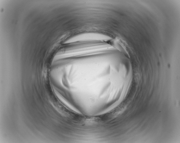 X0000085210072200704091917