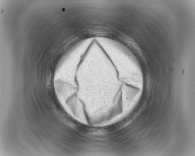 X0000085210073200704091917