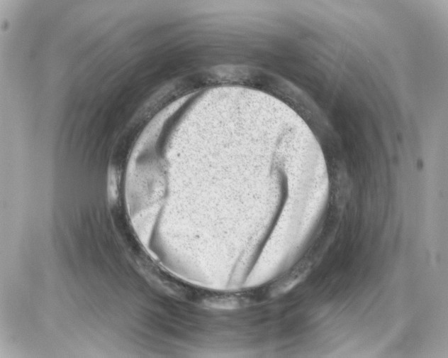 X0000085210075200704091917