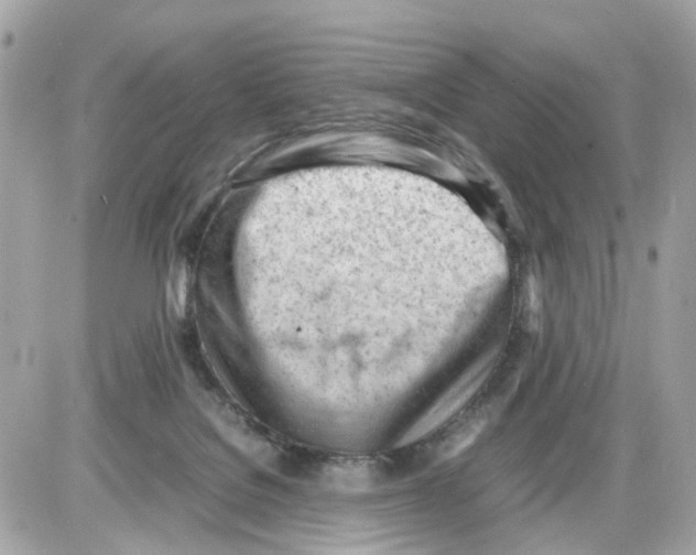 X0000085210076200704091917