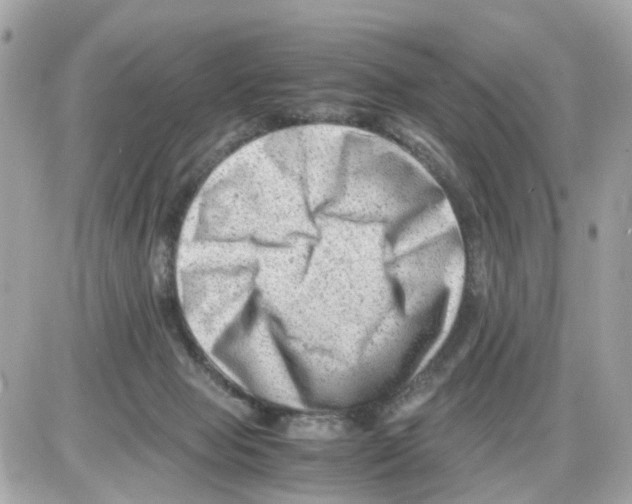 X0000085210077200704091917