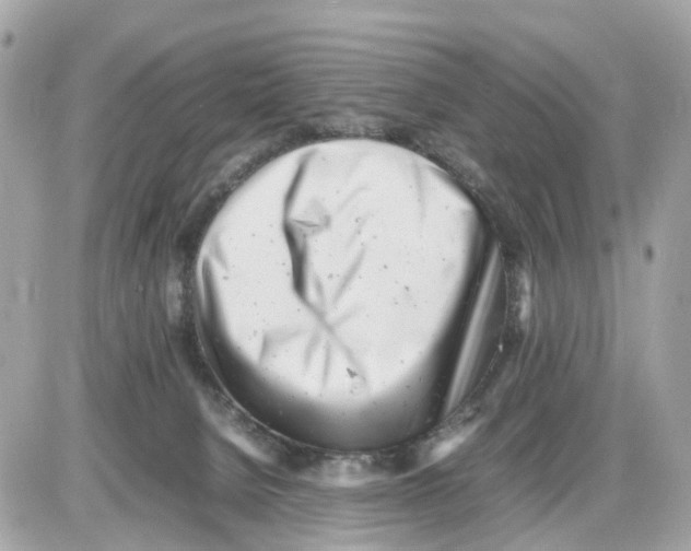 X0000085210080200704091917