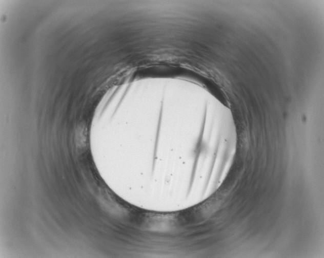 X0000085210081200704091917