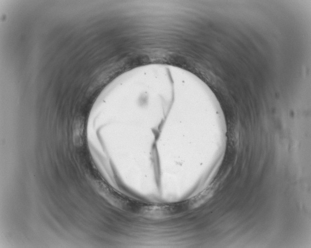 X0000085210082200704091917