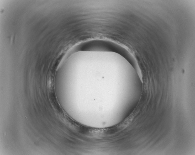 X0000085210084200704091917