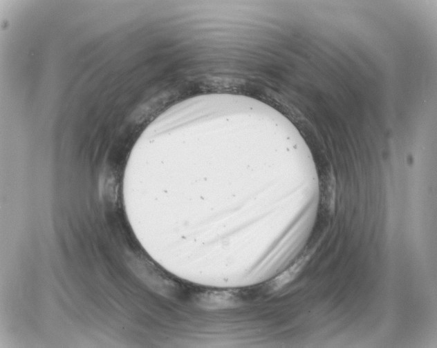 X0000085210086200704091917