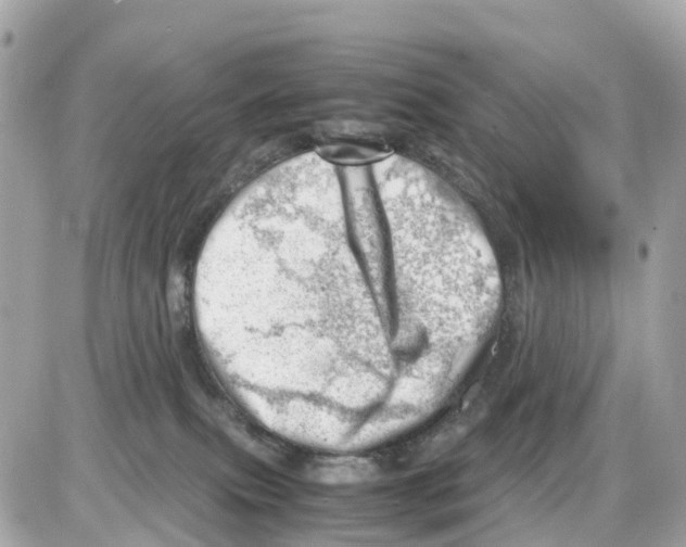 X0000085210087200704091917