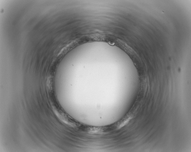 X0000085210088200704091917