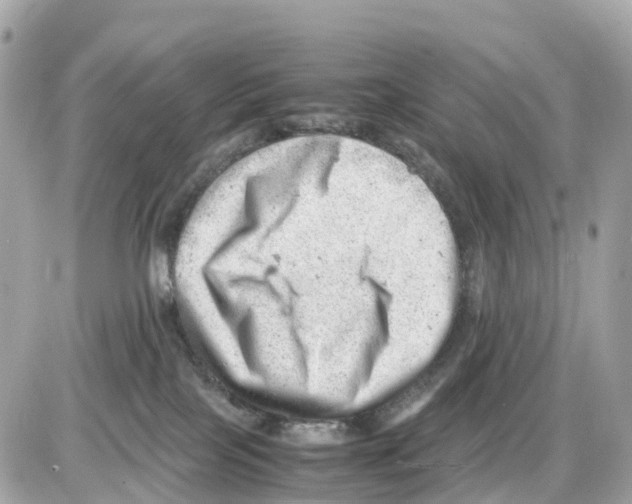 X0000085210089200704091917