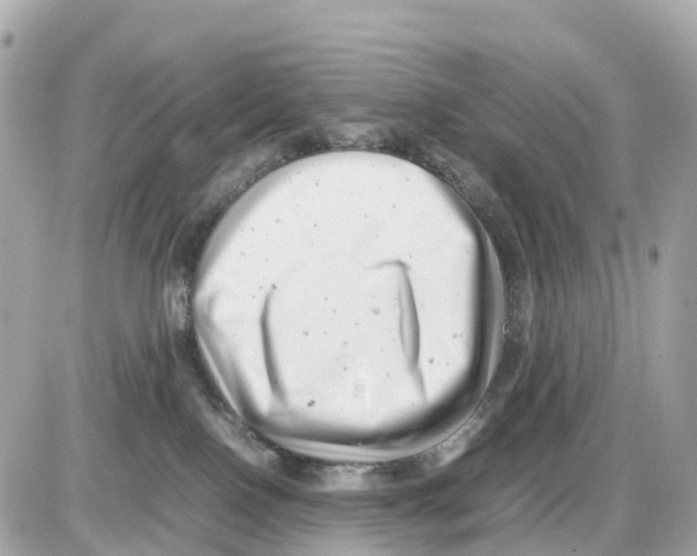 X0000085210090200704091917