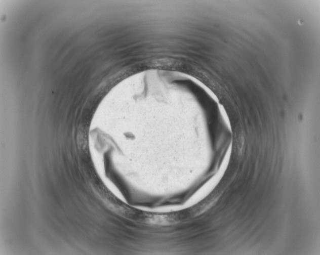 X0000085210091200704091917