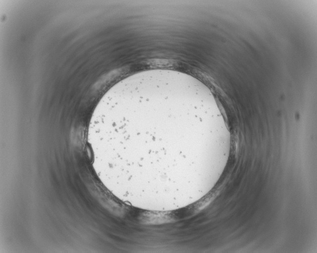 X0000085210093200704091917