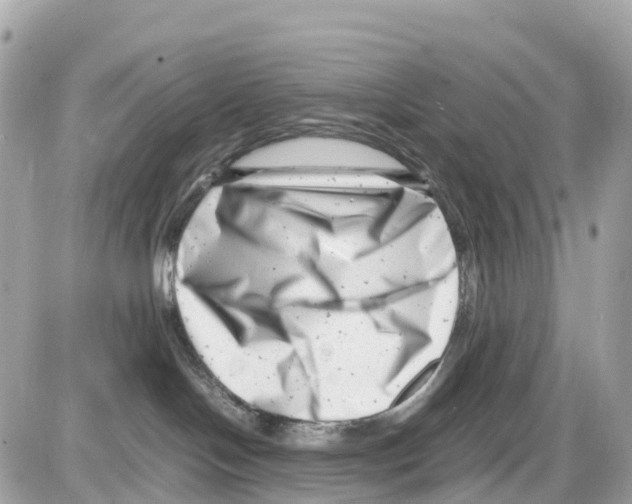 X0000085210094200704091917