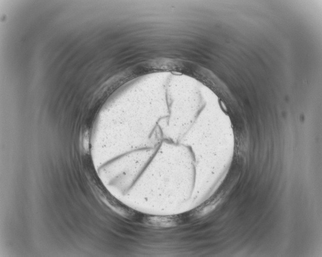 X0000085210095200704091917