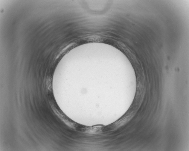 X0000085210096200704091917