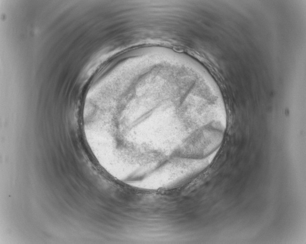 X0000085210098200704091916