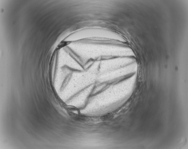 X0000085210099200704091916