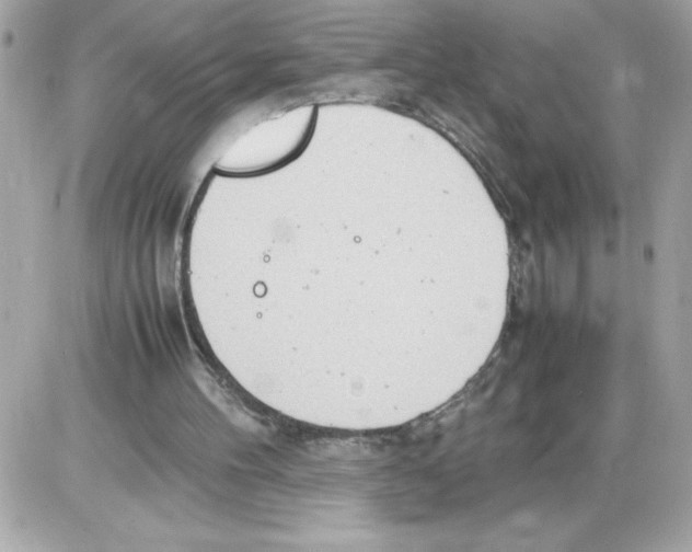 X0000085210100200704091916