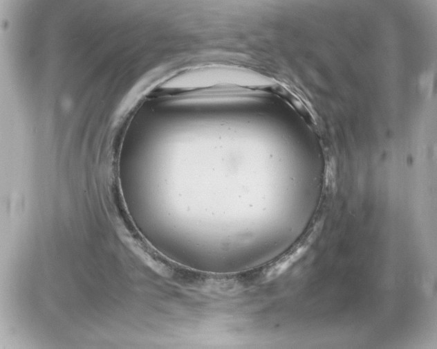 X0000085210101200704091916