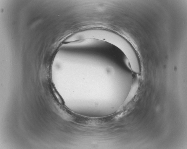 X0000085210105200704091916