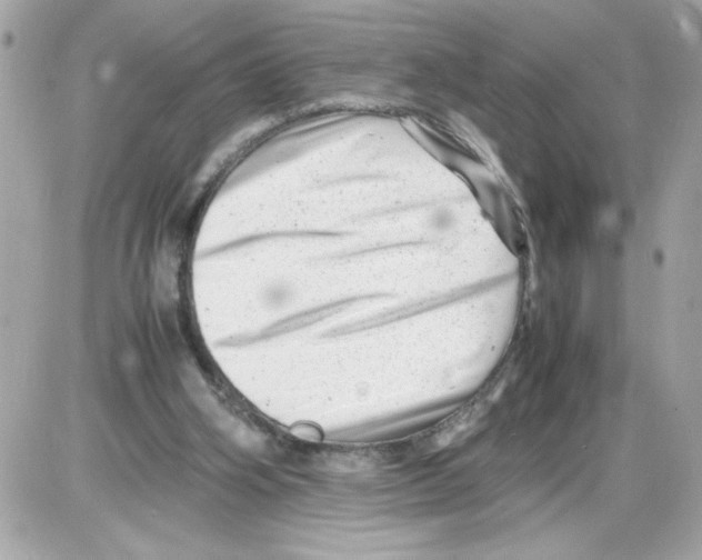 X0000085210106200704091916