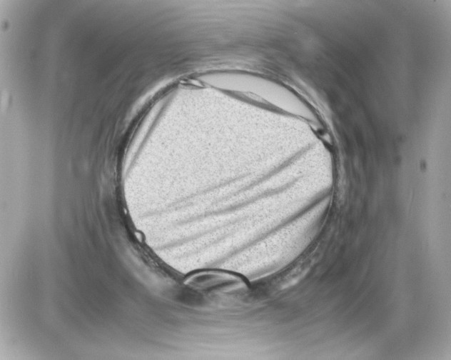 X0000085210107200704091916