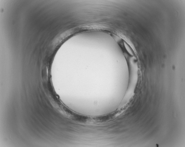 X0000085210109200704091916