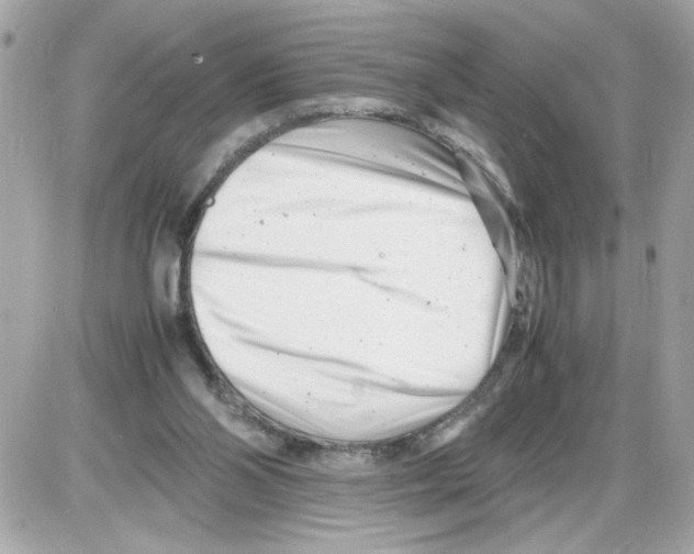 X0000085210110200704091916