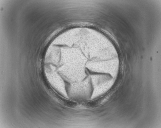 X0000085210111200704091916