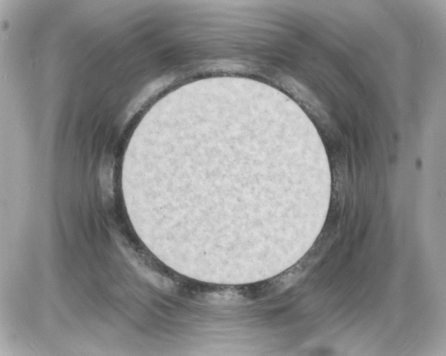 X0000085210112200704091916