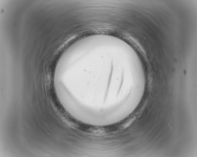 X0000085210113200704091916