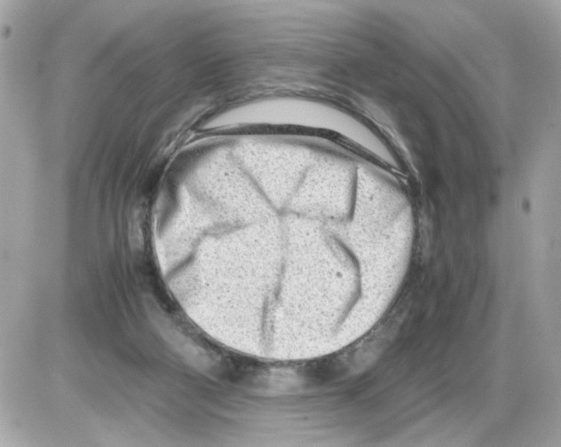 X0000085210114200704091916