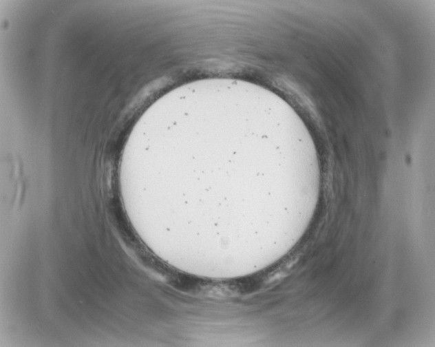 X0000085210115200704091916