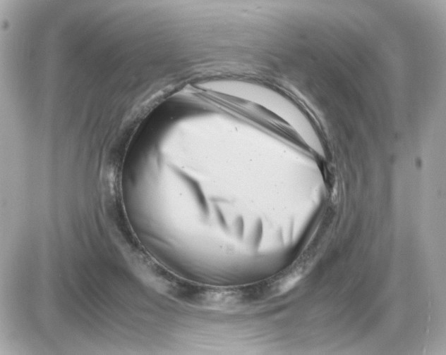 X0000085210117200704091916