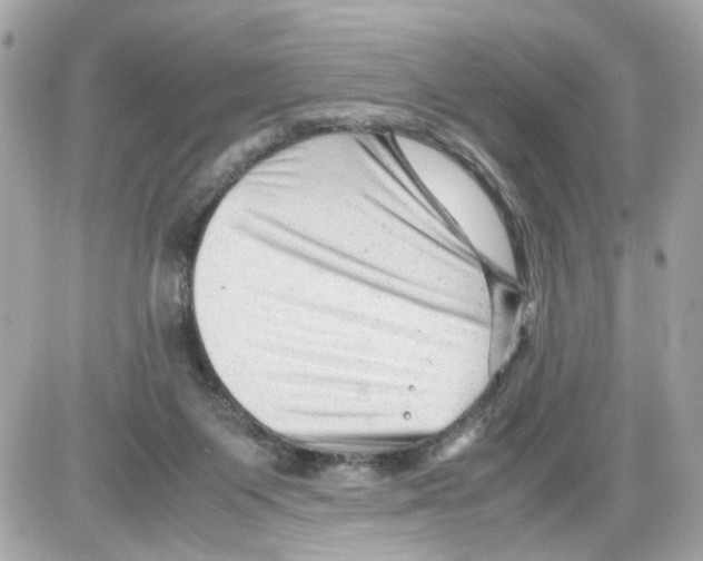 X0000085210119200704091916