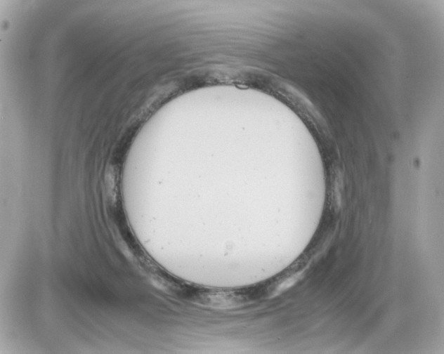 X0000085210121200704091916