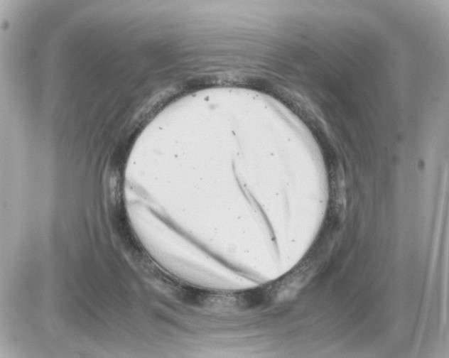 X0000085210123200704091916