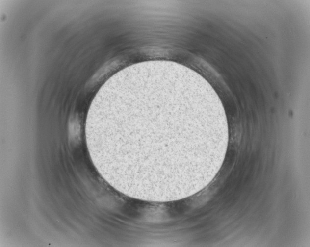 X0000085210124200704091916