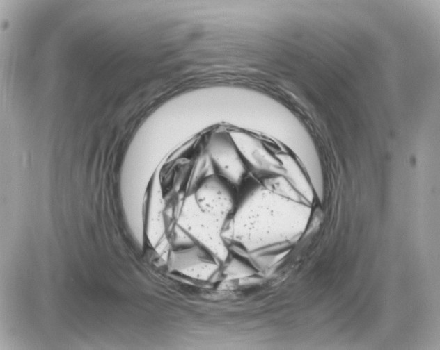 X0000085210125200704091916