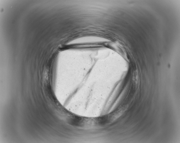 X0000085210127200704091916