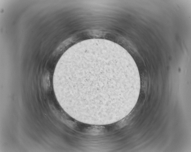 X0000085210128200704091916