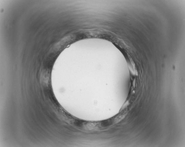 X0000085210129200704091916