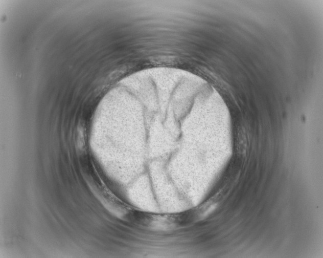 X0000085210130200704091916